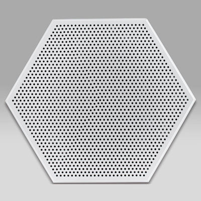 Aluminium metalen plafond Hexagon plafond panelen 404mm Clip In