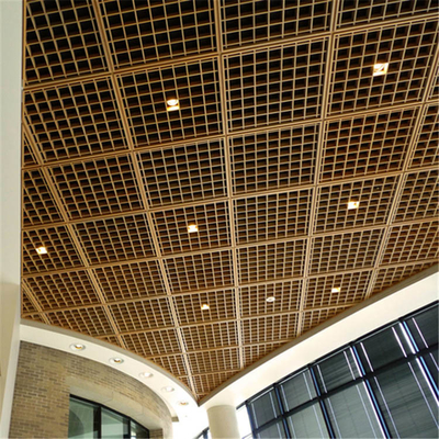 T het Metaalplafond 100x100mm van het Baraluminium Net met de Overdracht van de Kaderhitte