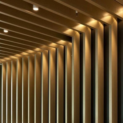 Het aluminium schortte het Vierkante Plafond van het Buisschot voor de Decoratie van het Winkelcomplexrestaurant op