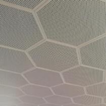 Aluminium Hexagonale Klem in Plafond 0.7mm Dikte voor Convention Center