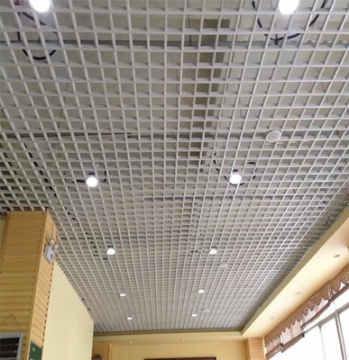 50x50mm het Plafond van het Aluminiumnet voor Metro Post Lichtgewicht Waterdicht