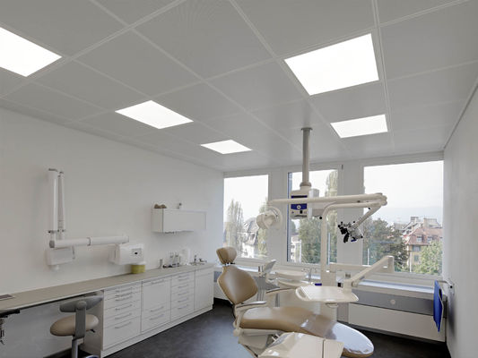 300x1200 het Plafond Ultra Micro- van het aluminiummetaal Perforatieklem in Plafond